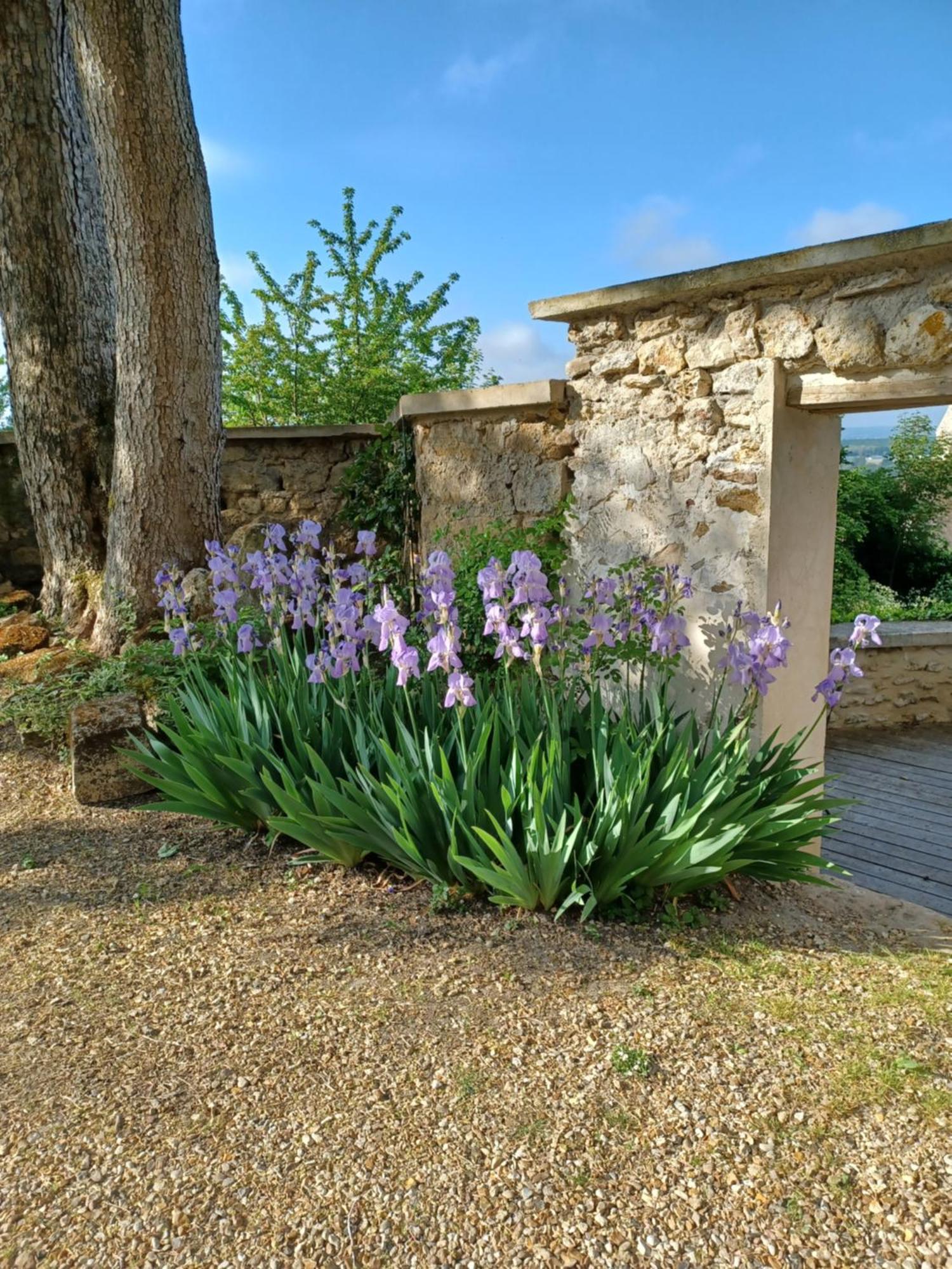 Le Verger Vaux-Sur-Seine Luaran gambar